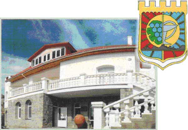 foto1